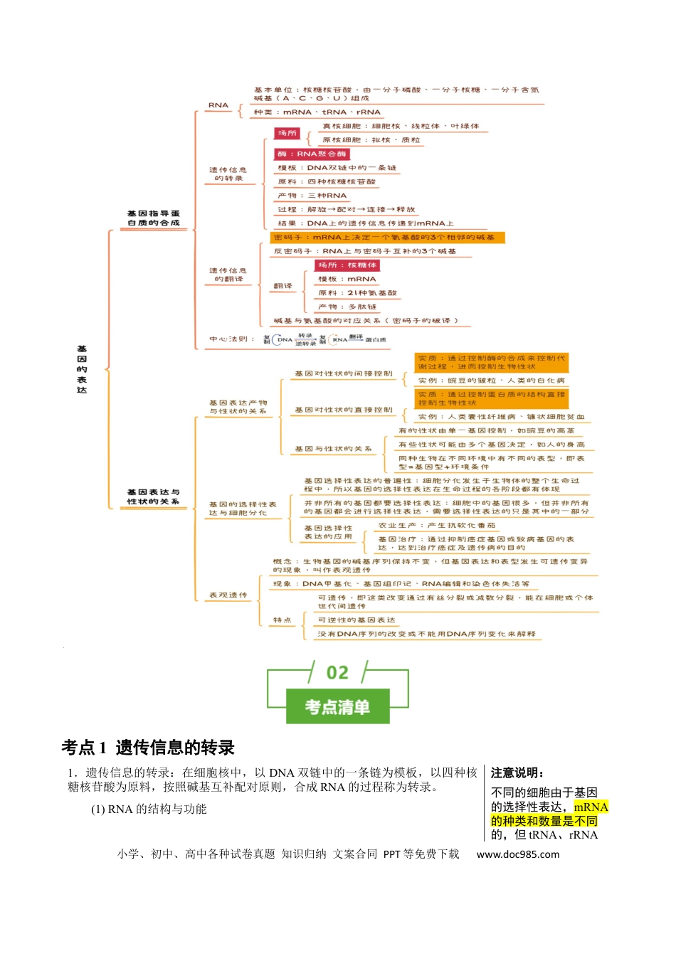高中生物 知识清单16 基因的表达（3大考点 3个易错点）.docx