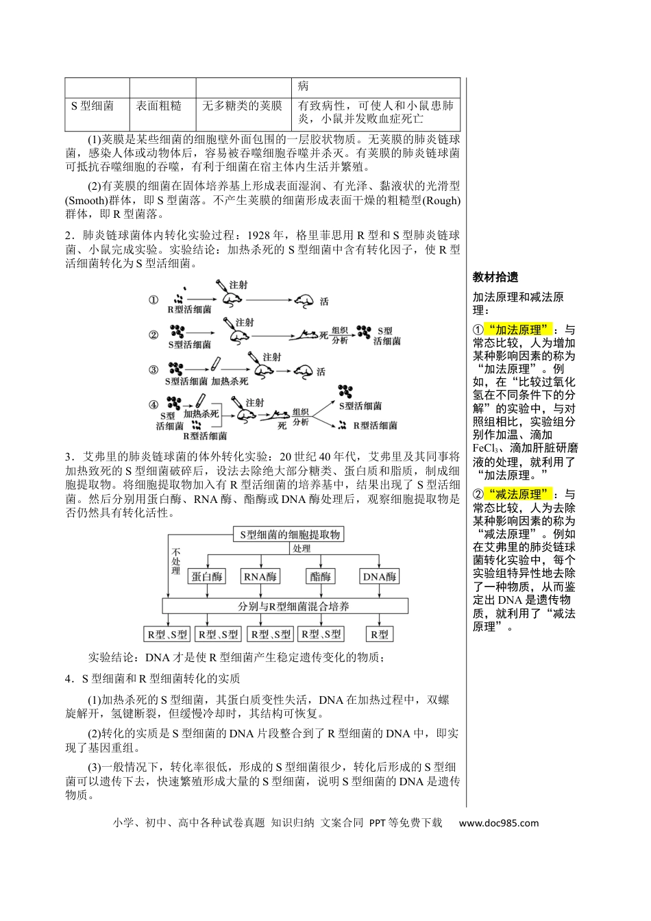 高中生物 知识清单14 DNA是主要的遗传物质（3大考点 4个易错点）.docx