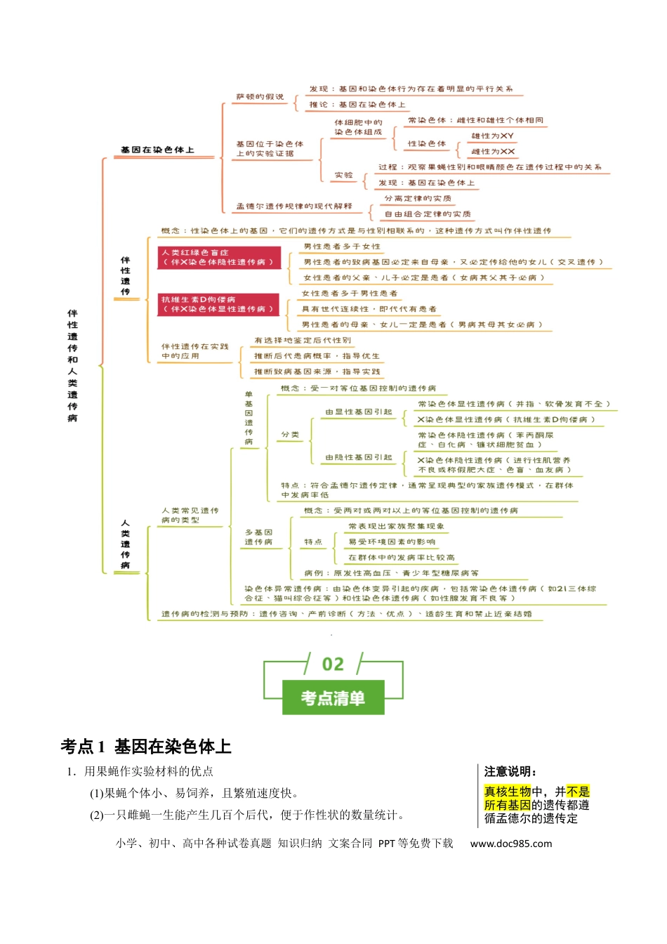 高中生物 知识清单13 伴性遗传和人类遗传病（4大考点 6个易错点）.docx