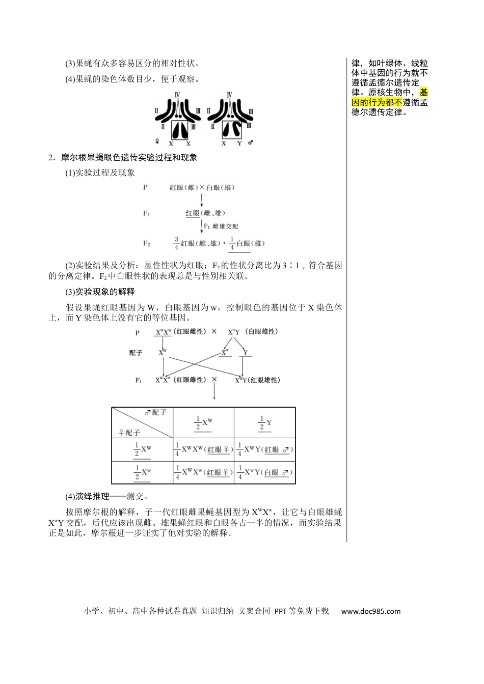 高中生物 知识清单13 伴性遗传和人类遗传病（4大考点 6个易错点）.docx