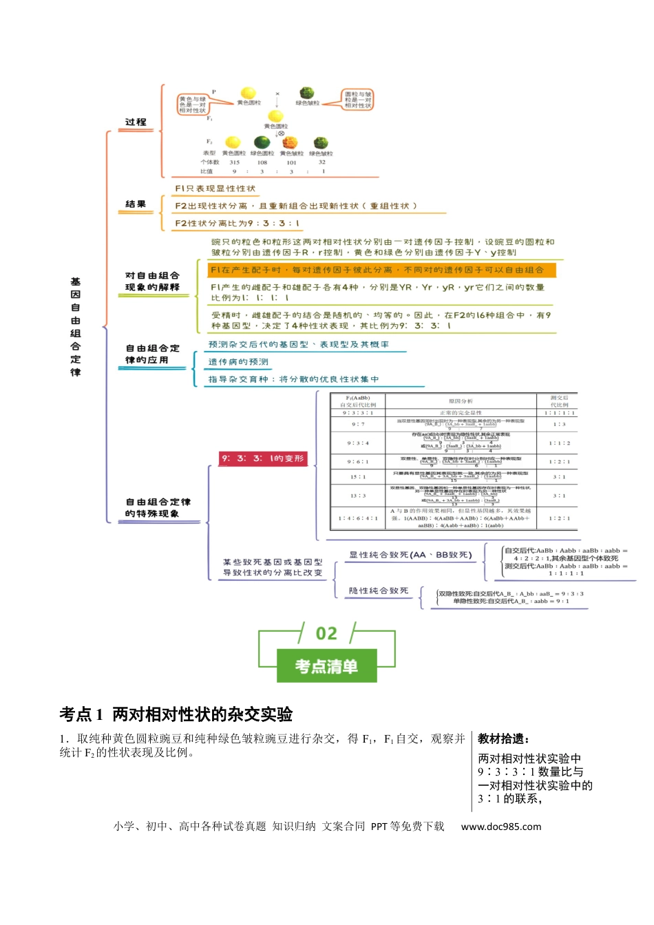 高中生物 知识清单12 基因自由组合定律（4大考点 3个易错点）.docx