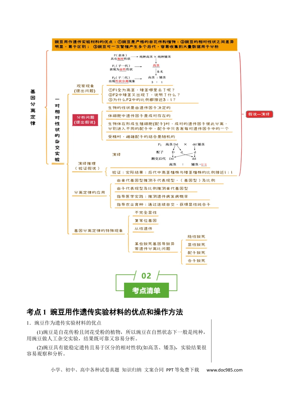 高中生物 知识清单11 基因分离定律（5大考点 4个易错点）.docx