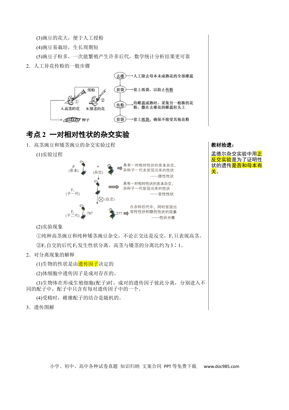高中生物 知识清单11 基因分离定律（5大考点 4个易错点）.docx