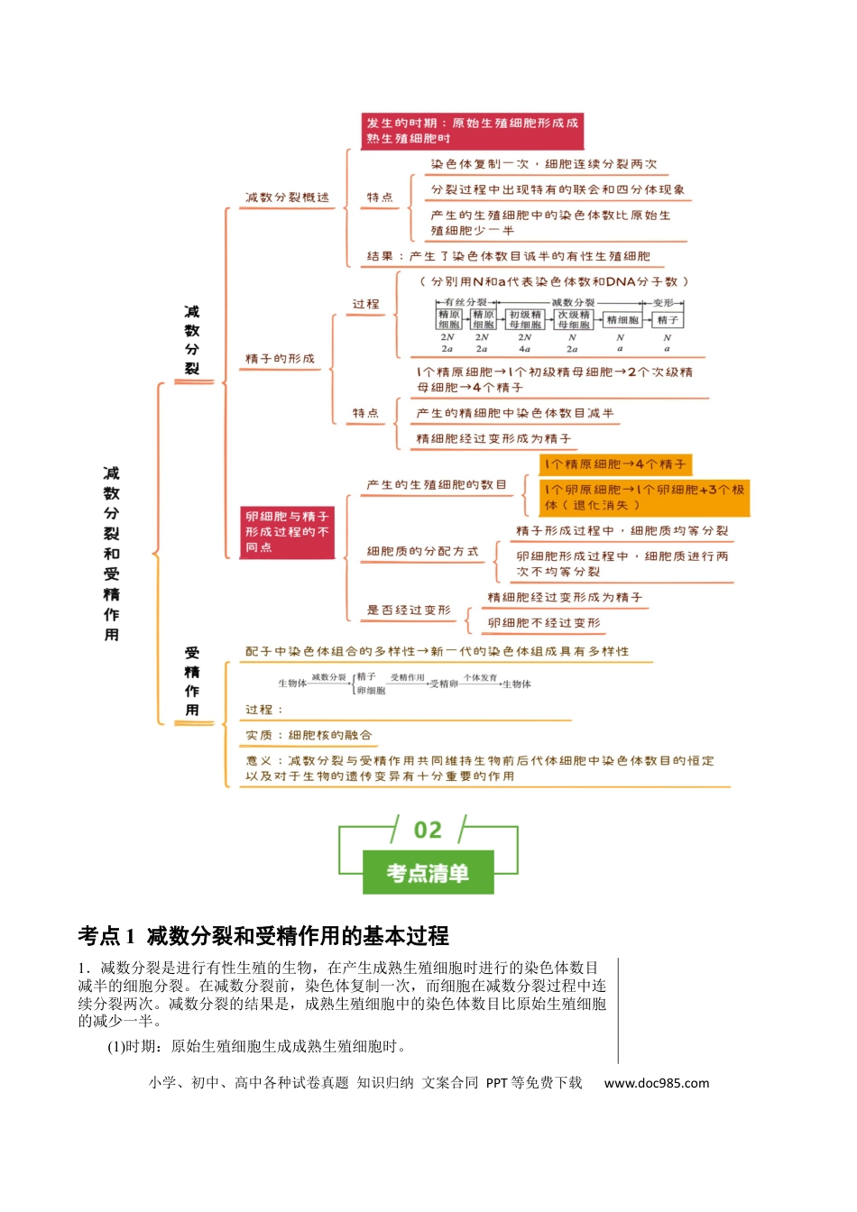 高中生物 知识清单10+减数分裂和受精作用（3大考点+4个易错点）.docx