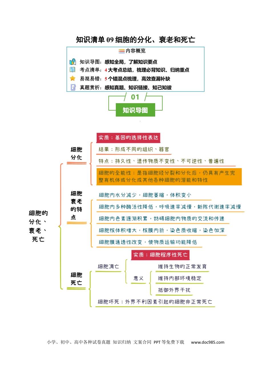 高中生物 知识清单09+细胞的分化、衰老和死亡（4大考点+5个易错点）.docx