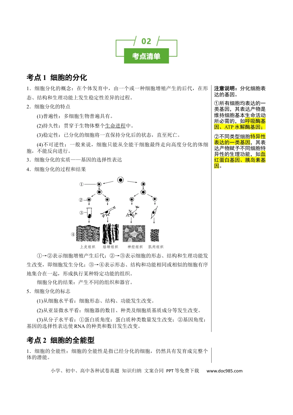 高中生物 知识清单09+细胞的分化、衰老和死亡（4大考点+5个易错点）.docx
