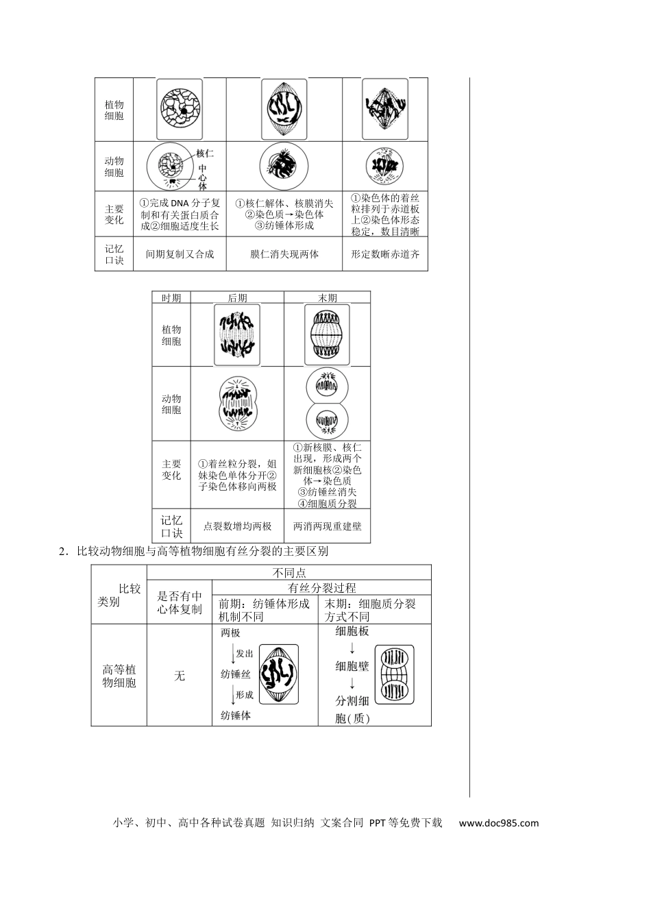 高中生物 知识清单08+细胞的增殖（4大考点+5个易错点）.docx