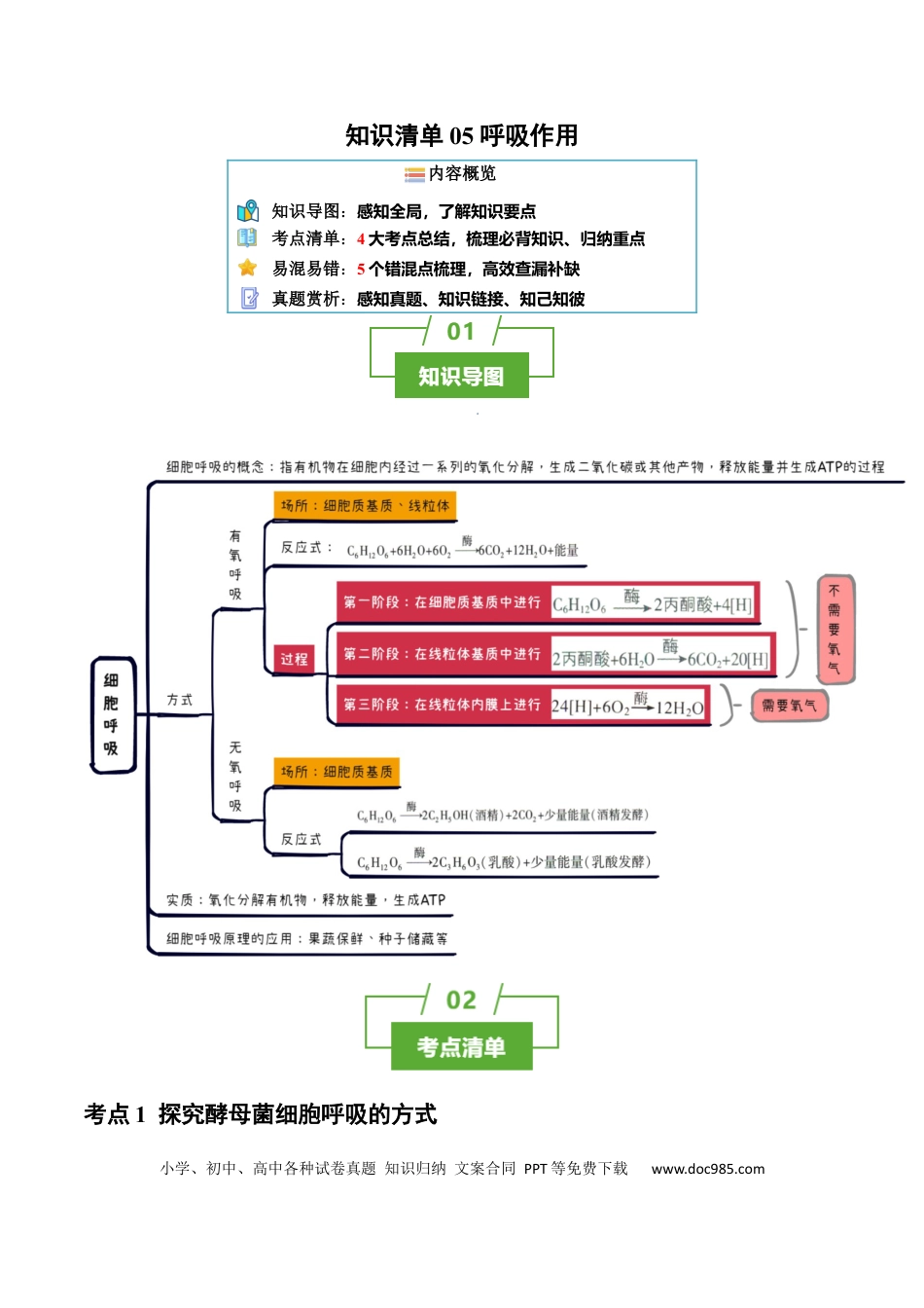 高中生物 知识清单06+呼吸作用（4大考点+5个易错点）.docx