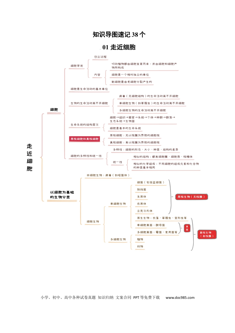 高中生物 知识导图速记38个.docx