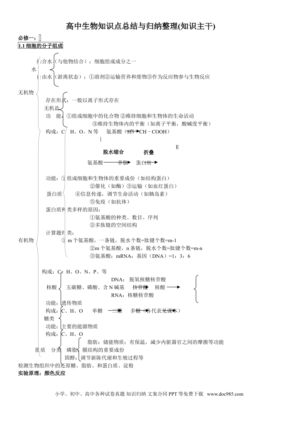 高中生物知识主干.doc