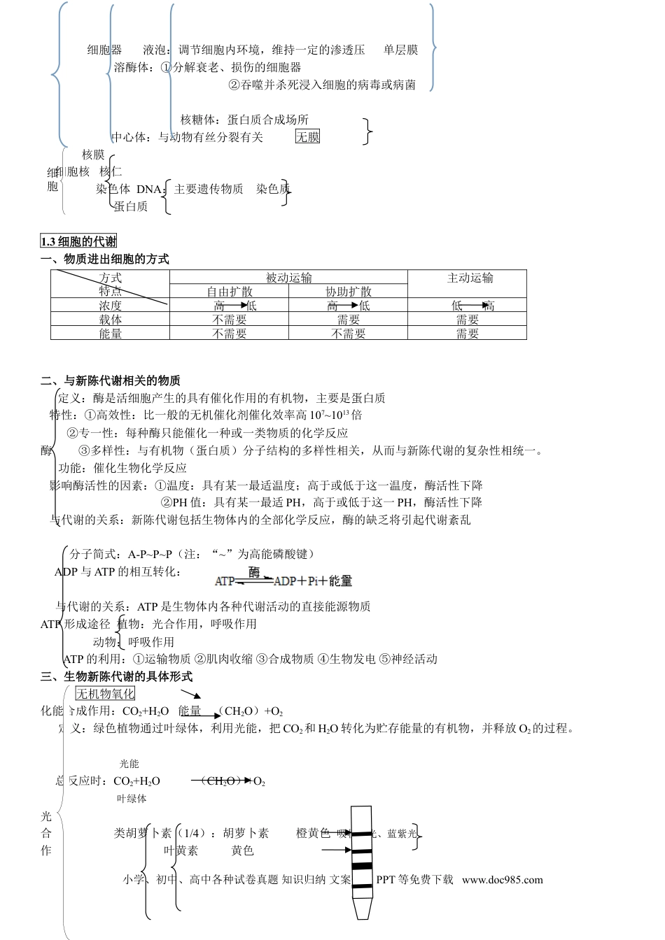 高中生物知识主干.doc