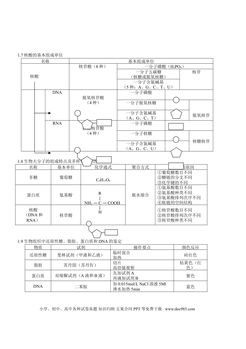 高中生物知识点总结(全).doc
