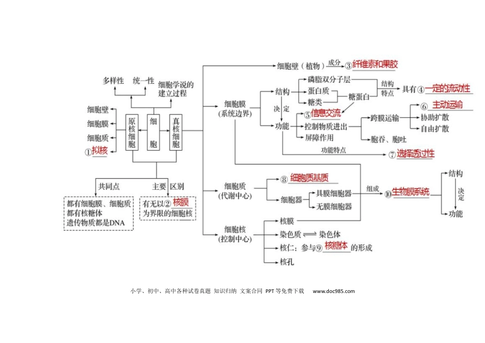 高中生物知识点概念图+核心知识点汇总.docx