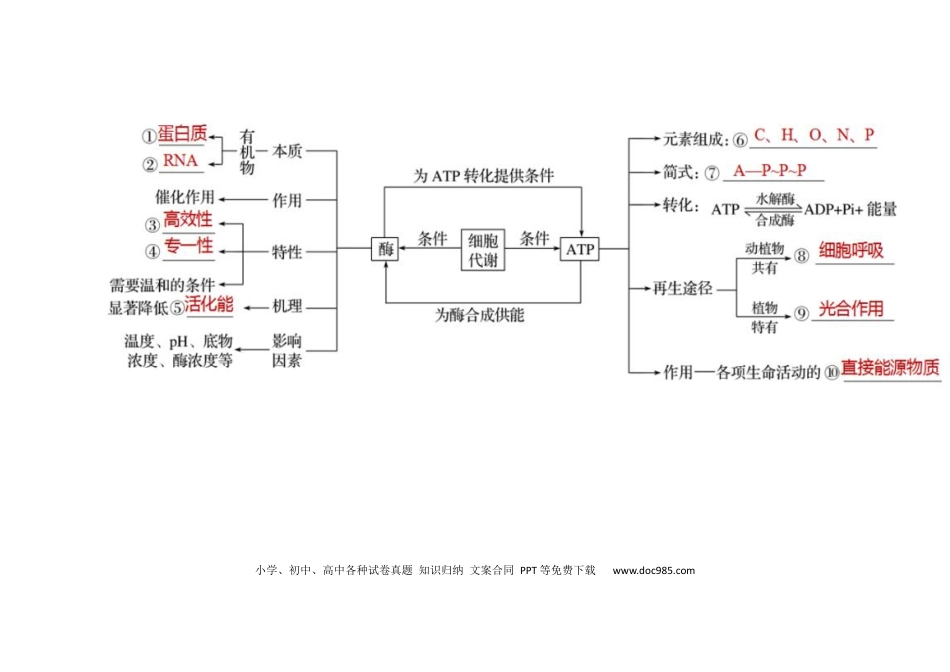 高中生物知识点概念图+核心知识点汇总.docx