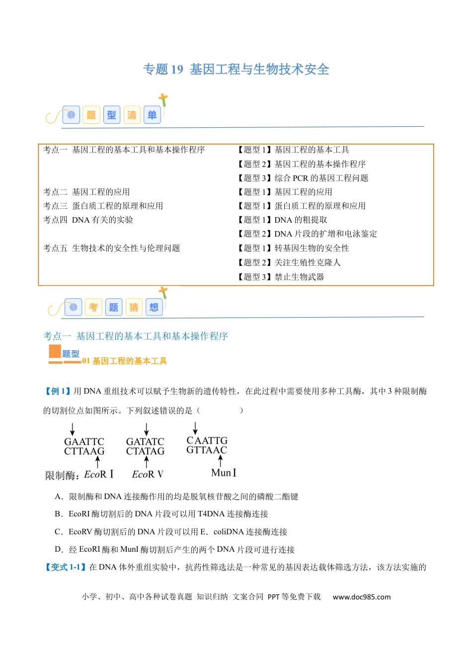 高中生物考点题型突破——专题19 基因工程与生物技术安全（10大题型）（原卷版）.docx
