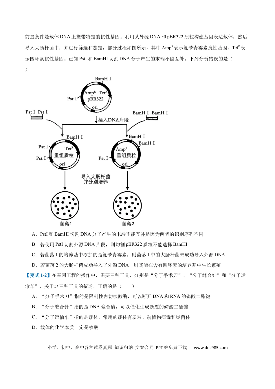 高中生物考点题型突破——专题19 基因工程与生物技术安全（10大题型）（原卷版）.docx