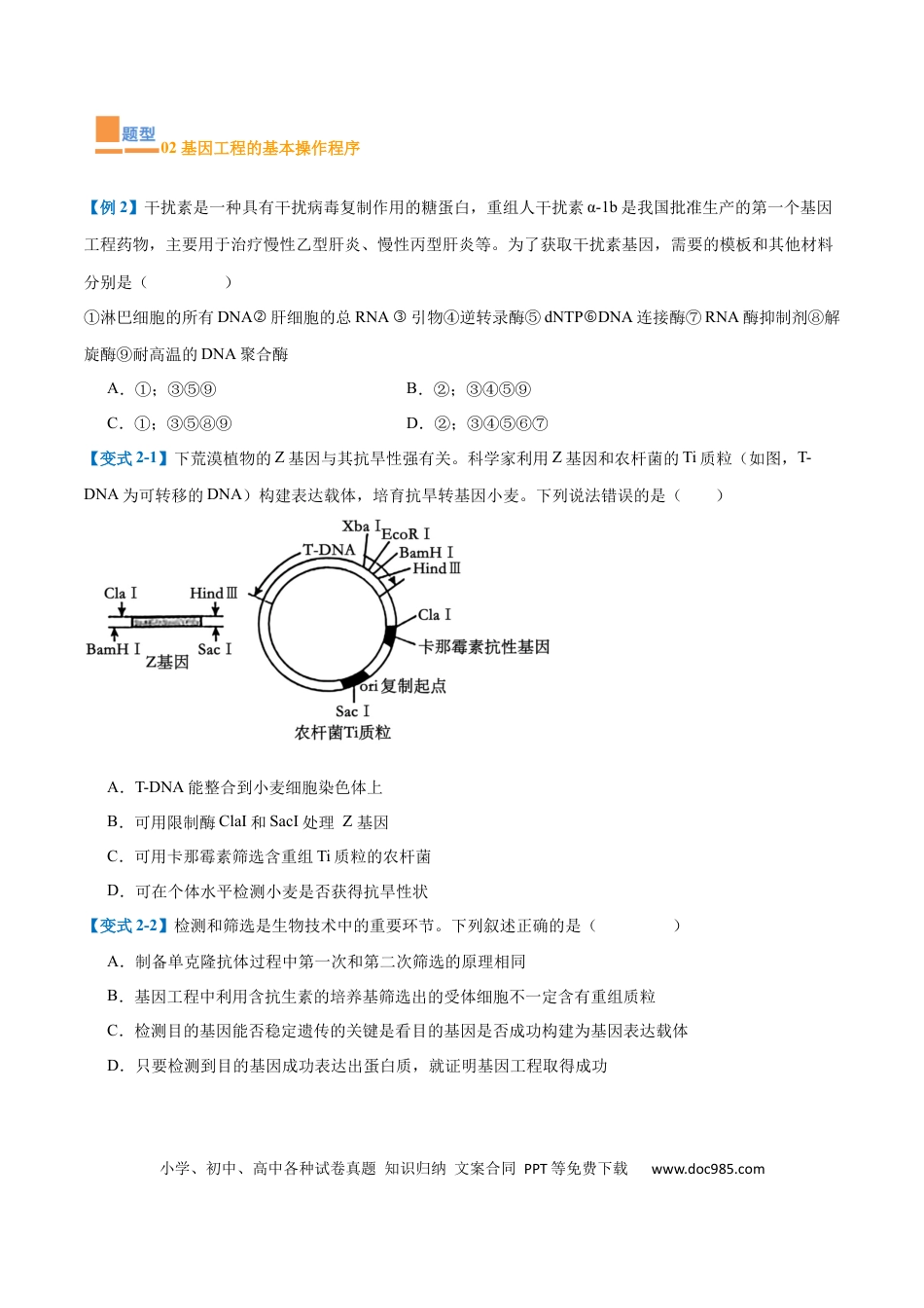 高中生物考点题型突破——专题19 基因工程与生物技术安全（10大题型）（原卷版）.docx