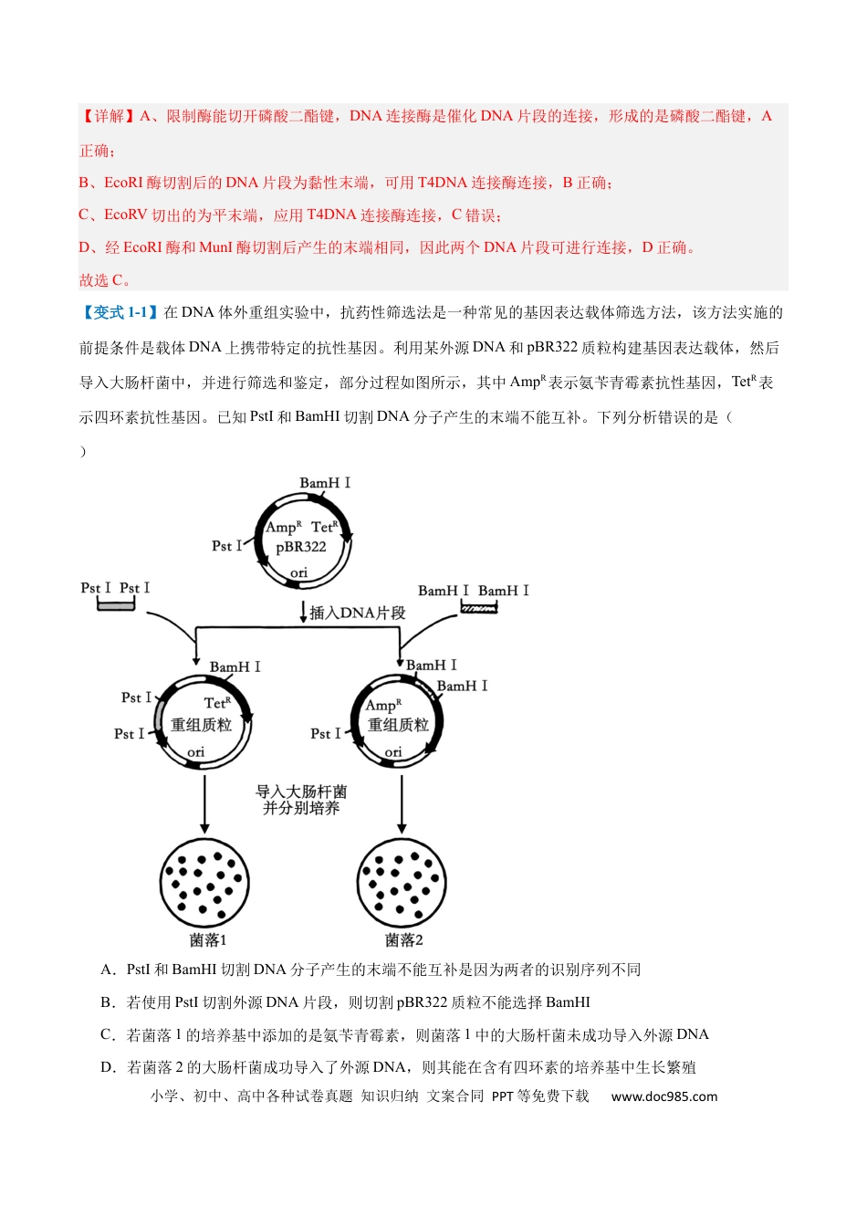 高中生物考点题型突破——专题19 基因工程与生物技术安全（10大题型）（解析版）.docx