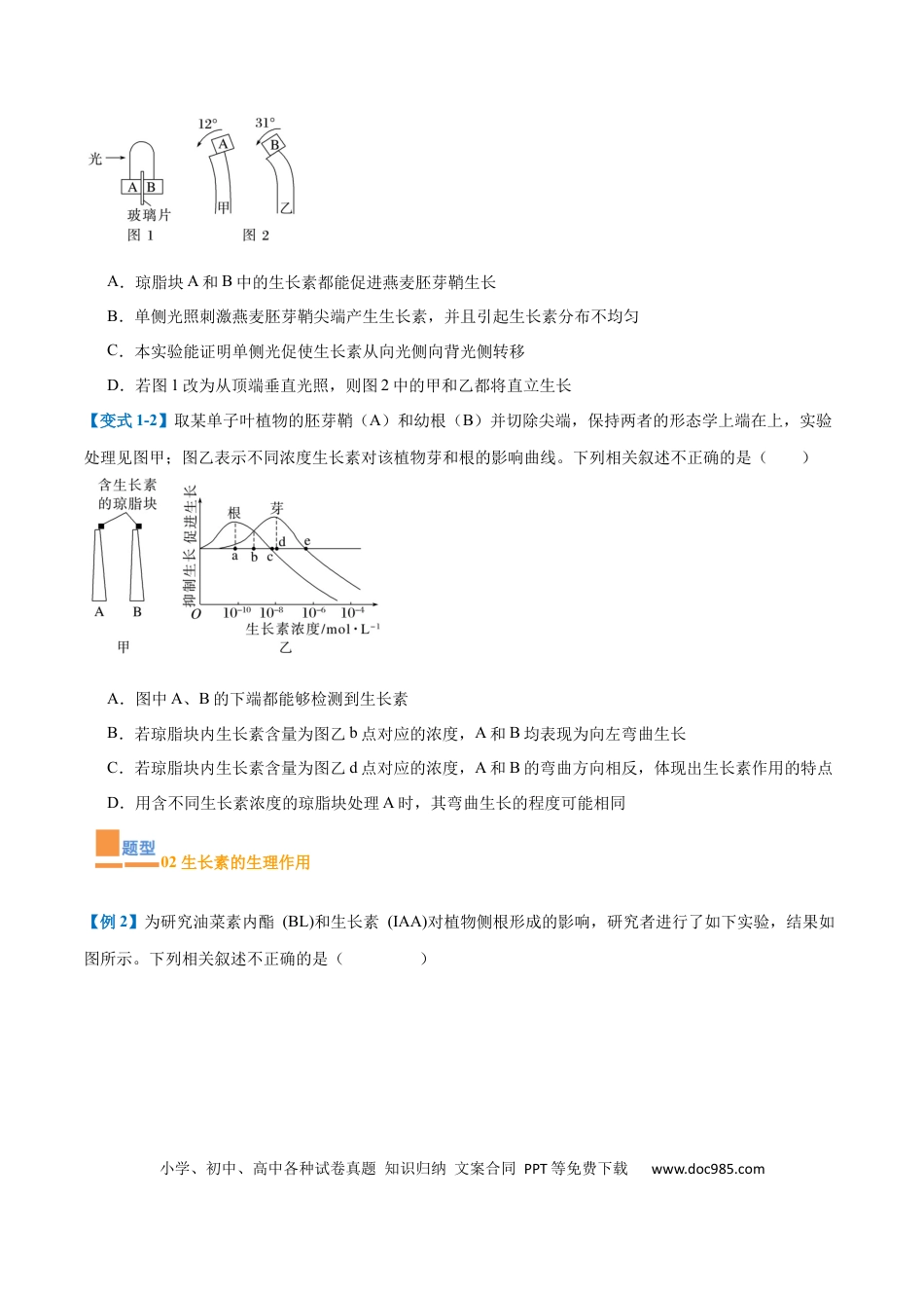 高中生物考点题型突破——专题15 植物生长调节（6大题型）（原卷版）.docx