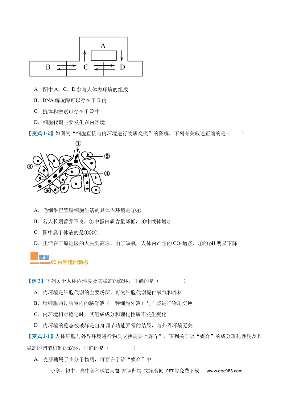 高中生物考点题型突破——专题13 内环境与体液调节（8大题型）（原卷版）.docx