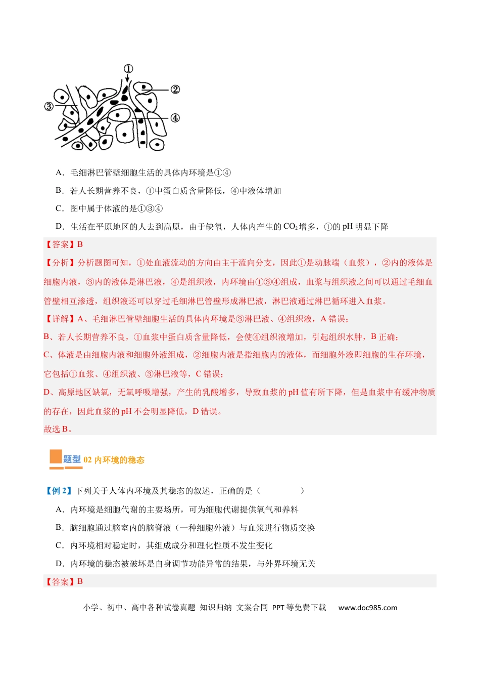 高中生物考点题型突破——专题13 内环境与体液调节（8大题型）（解析版）.docx