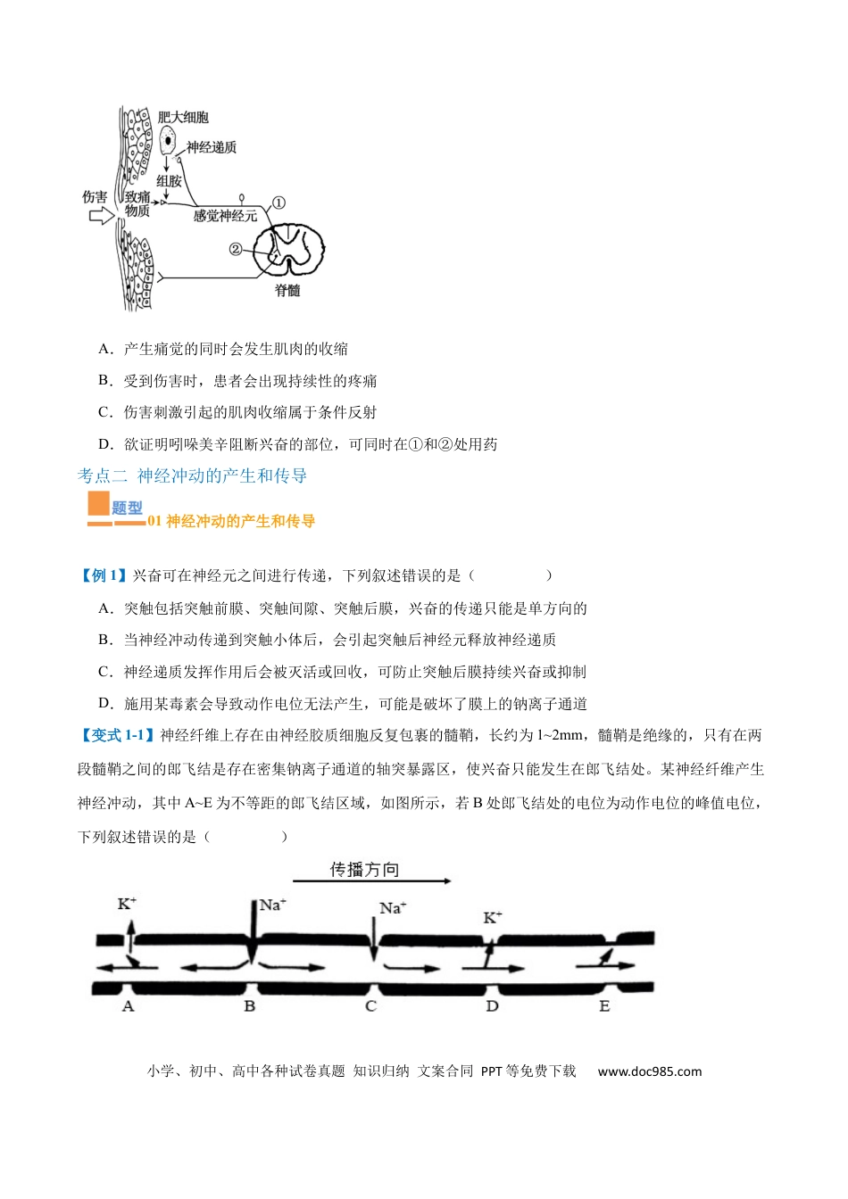 高中生物考点题型突破——专题12 神经调节（6大题型）（原卷版）.docx