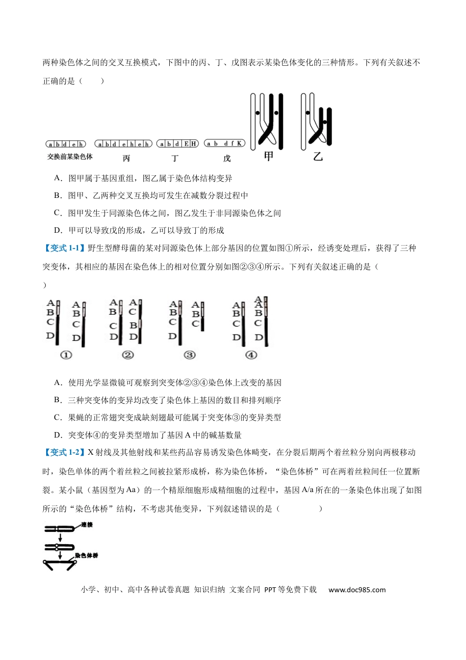 高中生物考点题型突破——专题11 生物的变异和进化（7大题型）（原卷版）.docx