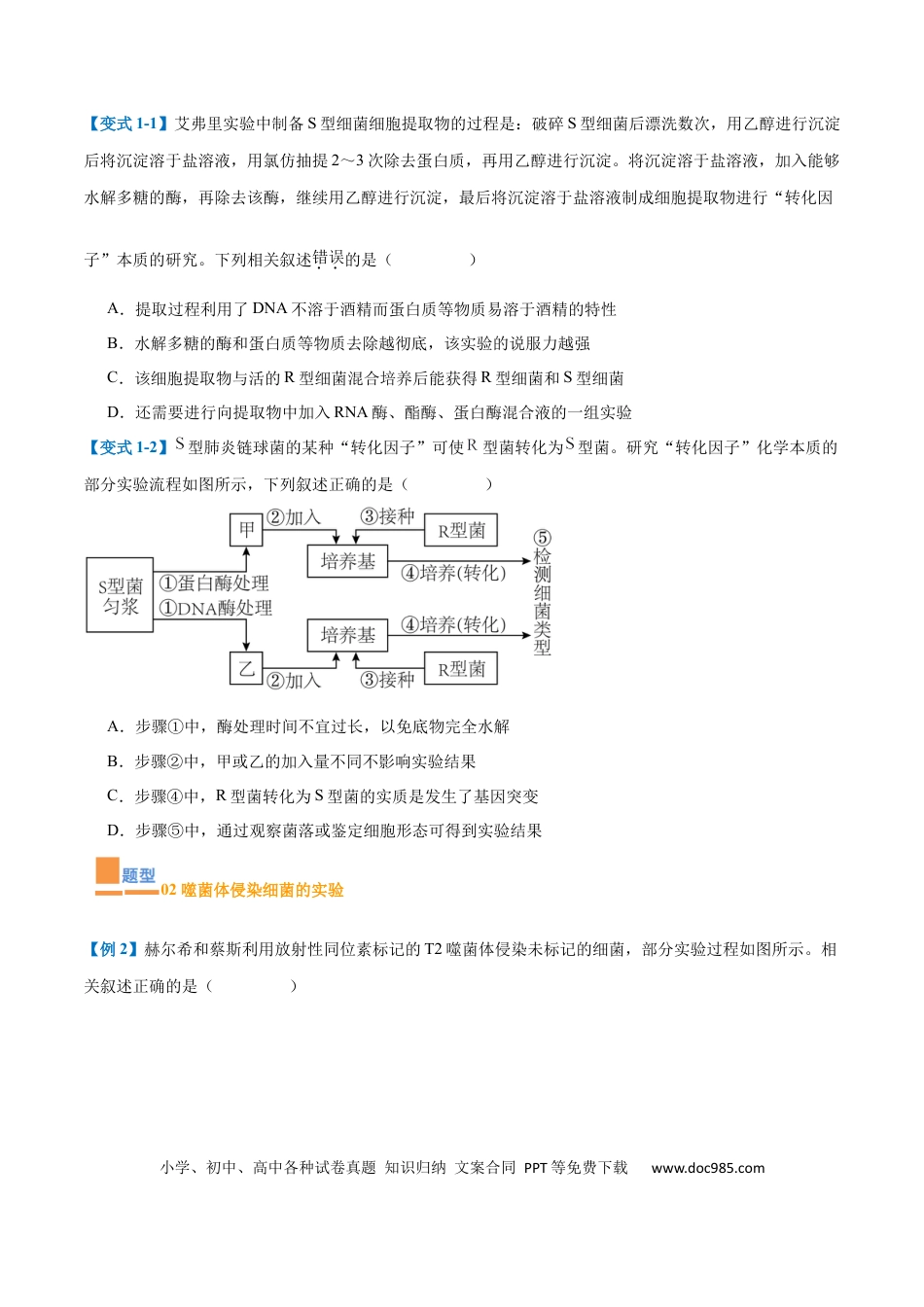 高中生物考点题型突破——专题10 遗传的物质基础（10大题型）（原卷版）.docx