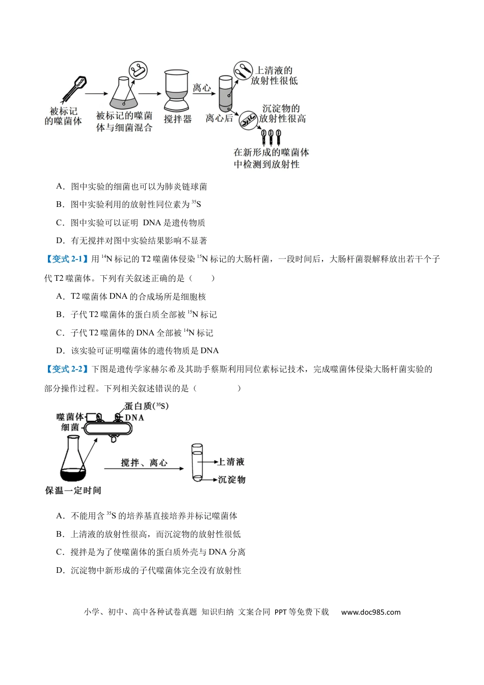 高中生物考点题型突破——专题10 遗传的物质基础（10大题型）（原卷版）.docx