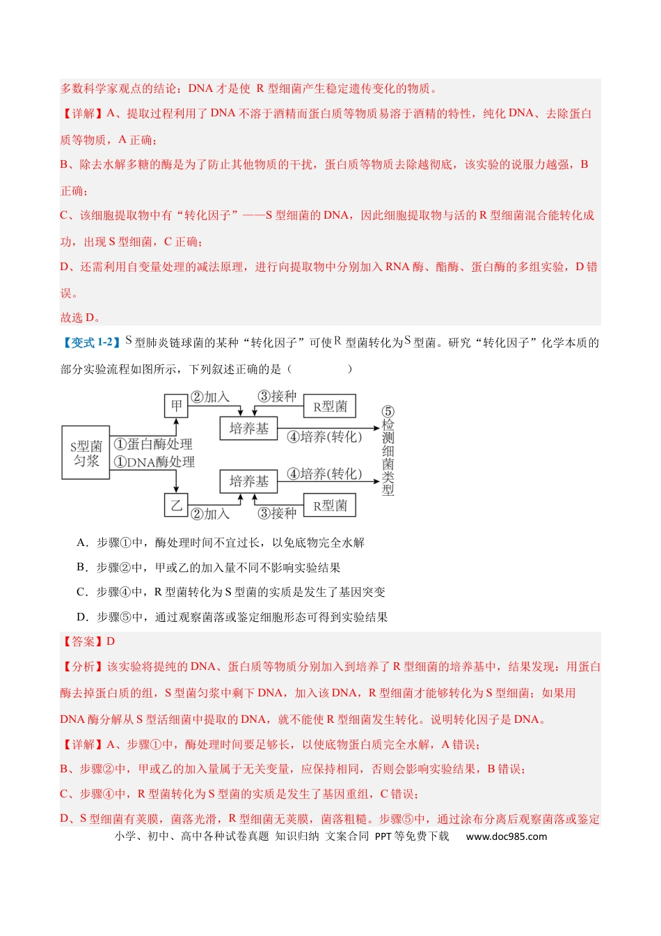 高中生物考点题型突破——专题10 遗传的物质基础（10大题型）（解析版）.docx