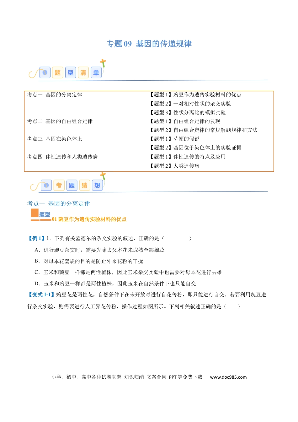 高中生物考点题型突破——专题09 基因的传递规律（9大题型）（原卷版）.docx