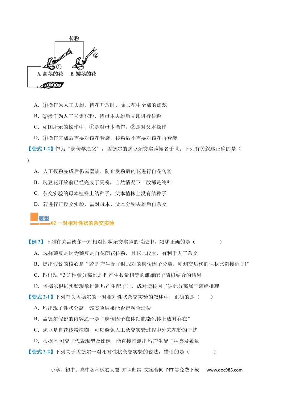 高中生物考点题型突破——专题09 基因的传递规律（9大题型）（原卷版）.docx