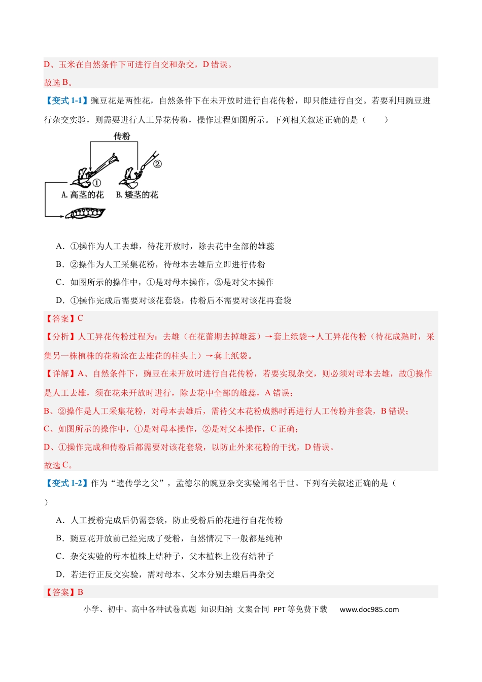 高中生物考点题型突破——专题09 基因的传递规律（9大题型）（解析版）.docx