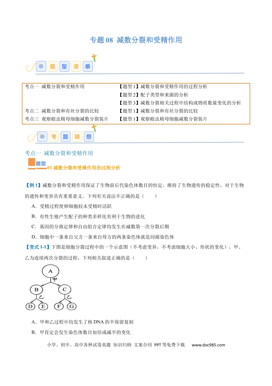 高中生物考点题型突破——专题08 减数分裂和受精作用（5大题型）（原卷版）.docx