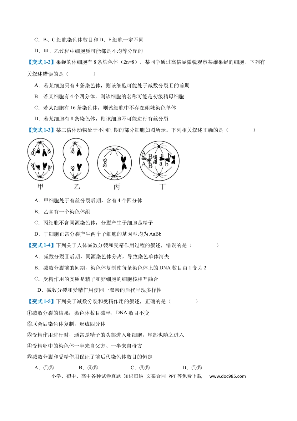 高中生物考点题型突破——专题08 减数分裂和受精作用（5大题型）（原卷版）.docx
