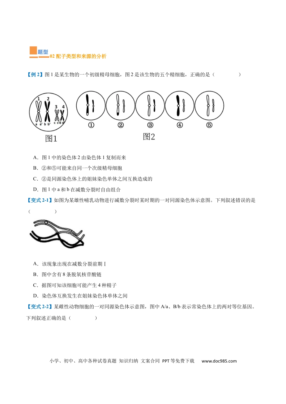 高中生物考点题型突破——专题08 减数分裂和受精作用（5大题型）（原卷版）.docx
