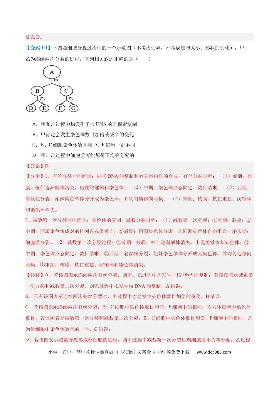 高中生物考点题型突破——专题08 减数分裂和受精作用（5大题型）（解析版）.docx