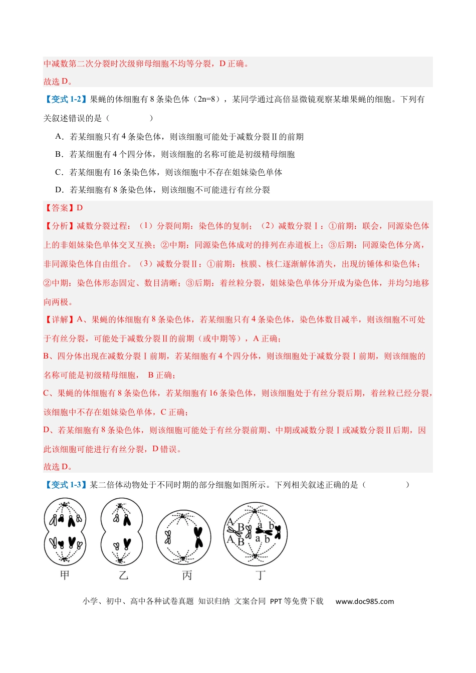 高中生物考点题型突破——专题08 减数分裂和受精作用（5大题型）（解析版）.docx