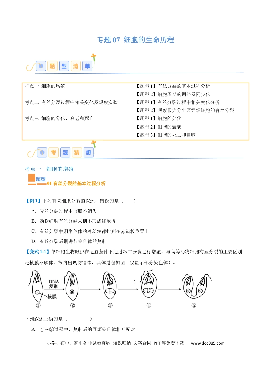 高中生物考点题型突破——专题07 细胞生命历程（7大题型）（原卷版）.docx