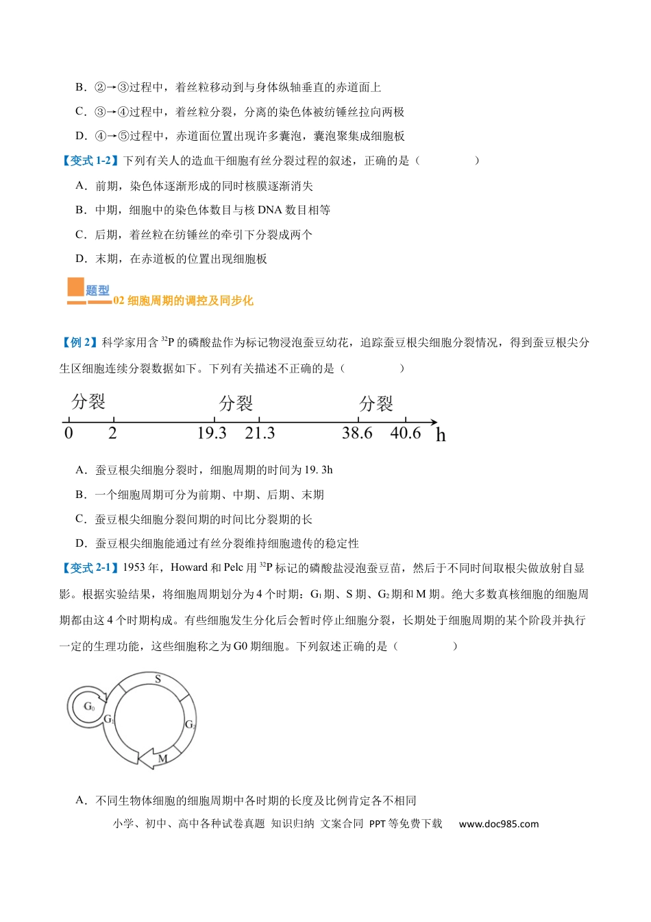 高中生物考点题型突破——专题07 细胞生命历程（7大题型）（原卷版）.docx