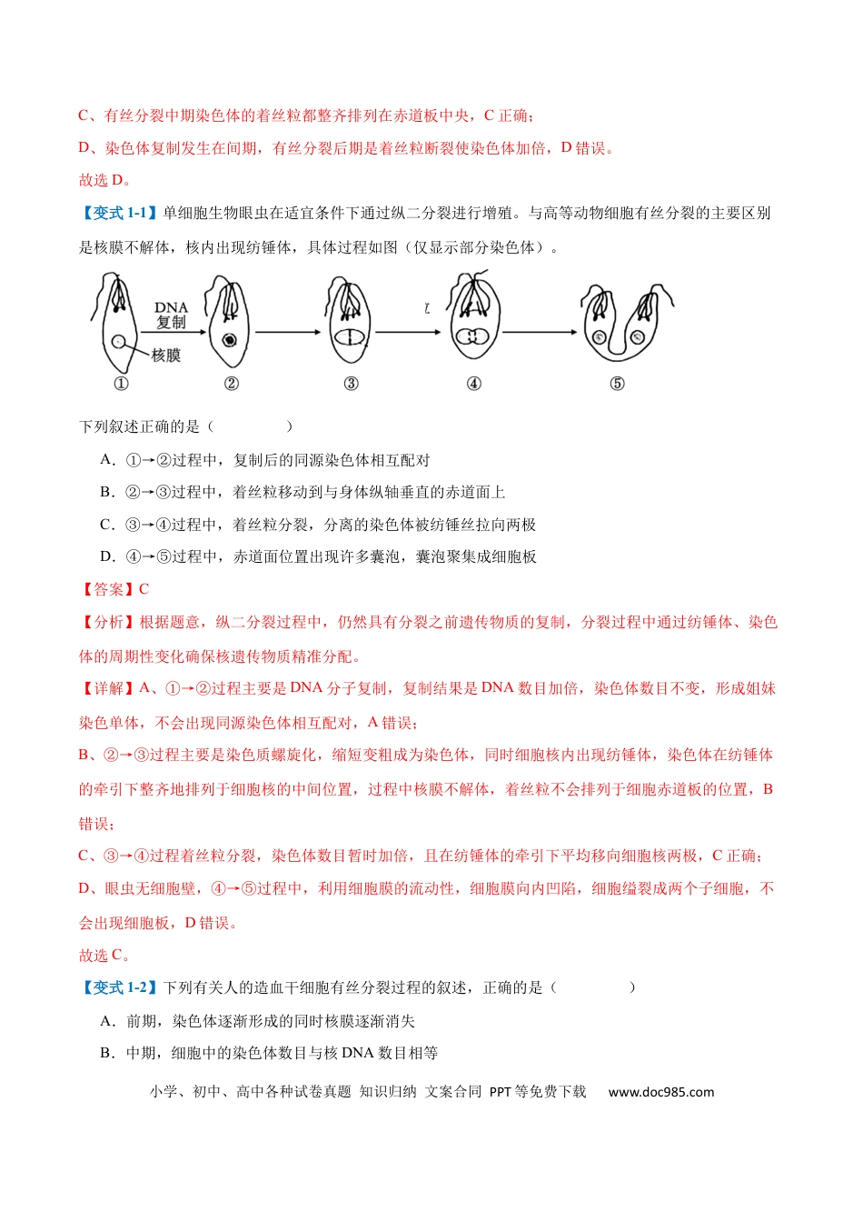 高中生物考点题型突破——专题07 细胞生命历程（7大题型）（解析版）.docx