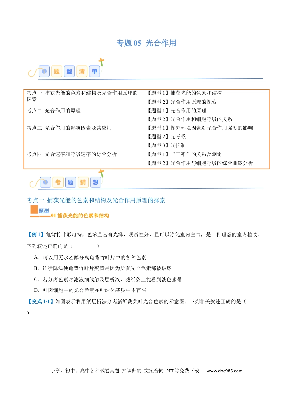 高中生物考点题型突破——专题05 光合作用（9大题型）（原卷版）.docx