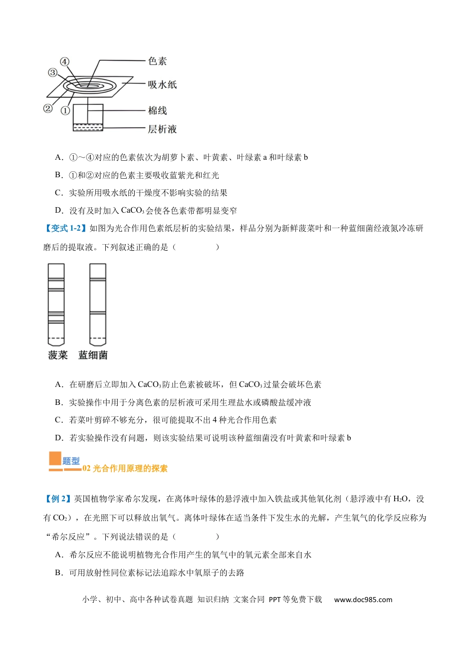 高中生物考点题型突破——专题05 光合作用（9大题型）（原卷版）.docx
