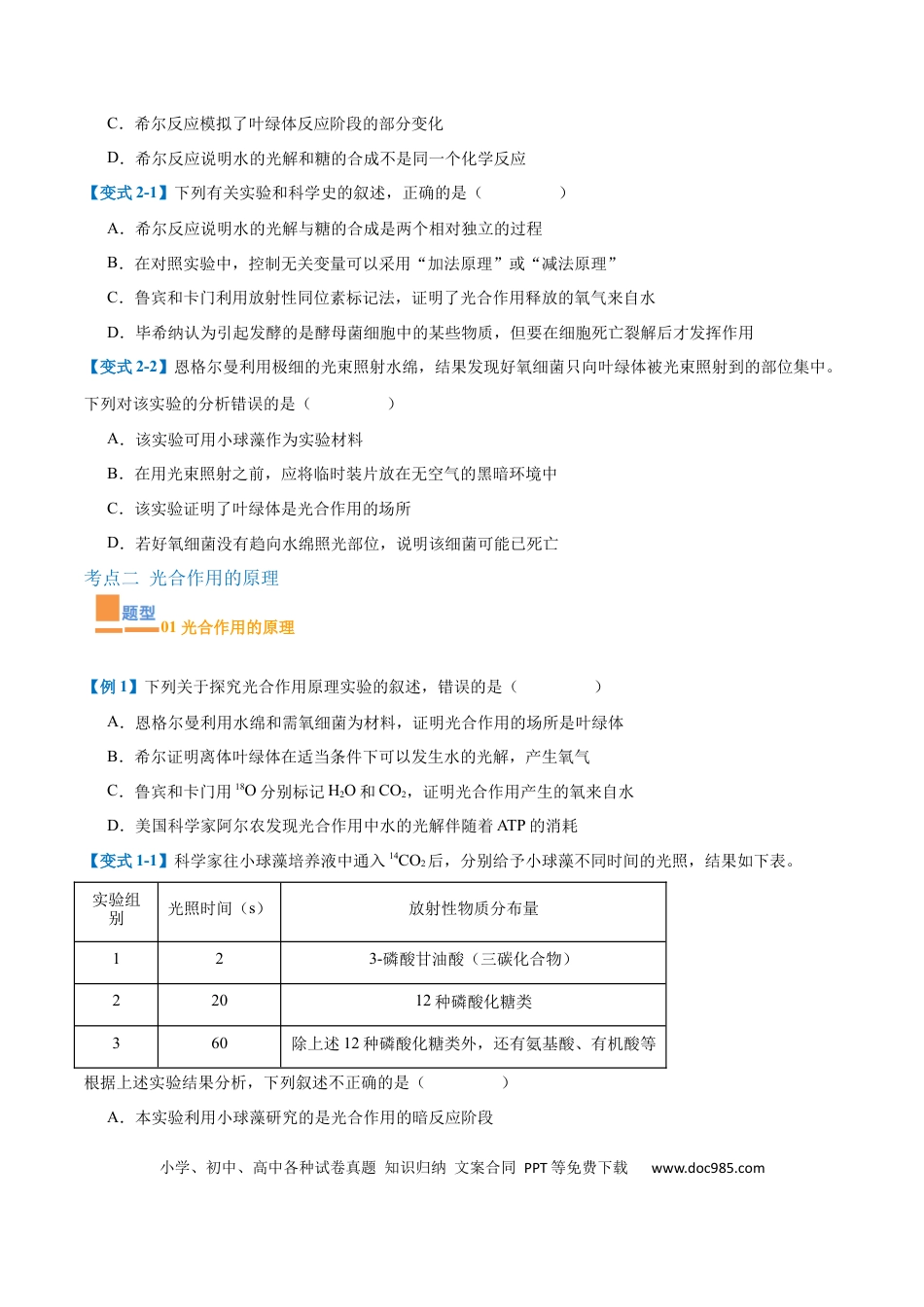 高中生物考点题型突破——专题05 光合作用（9大题型）（原卷版）.docx