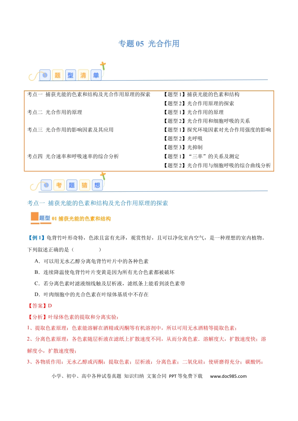 高中生物考点题型突破——专题05 光合作用（9大题型）（解析版）.docx