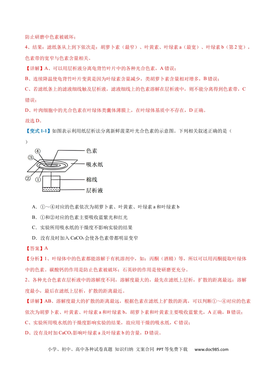 高中生物考点题型突破——专题05 光合作用（9大题型）（解析版）.docx