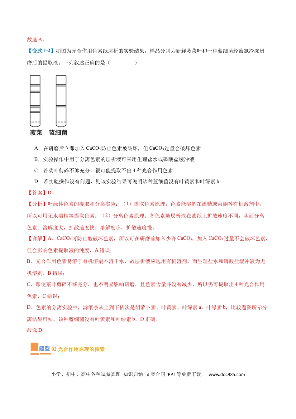 高中生物考点题型突破——专题05 光合作用（9大题型）（解析版）.docx