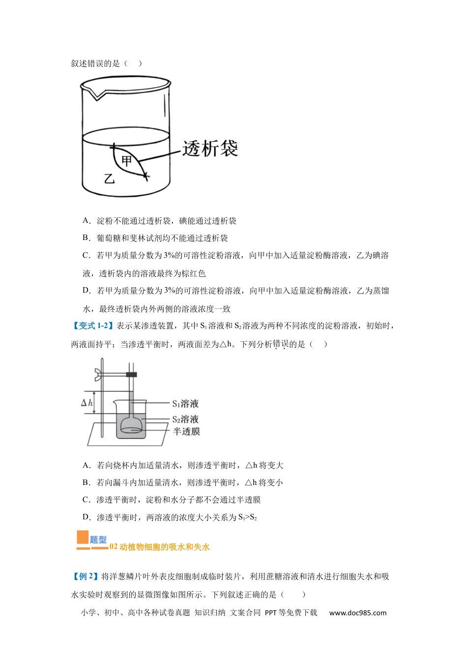 高中生物考点题型突破——专题03 细胞的物质运输（4大题型）（原卷版）.docx