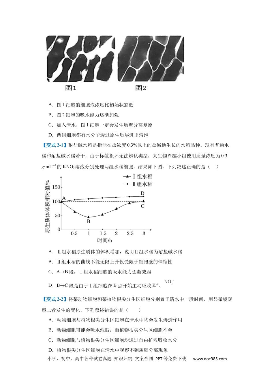 高中生物考点题型突破——专题03 细胞的物质运输（4大题型）（原卷版）.docx