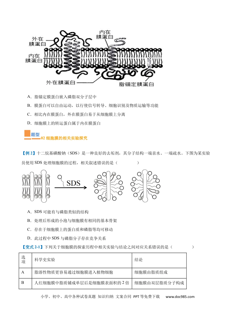 高中生物考点题型突破——专题02 细胞的基本结构（9大题型）（原卷版）.docx